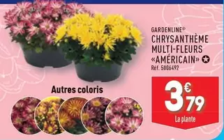 Gardenline - Chrysantheme Multi-fleurs offre à 3,79€ sur Aldi