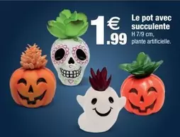 Le Pot Avec Succulente offre à 1,99€ sur Bazarland