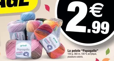 La Pelote "Papagallo" offre à 2,99€ sur Bazarland