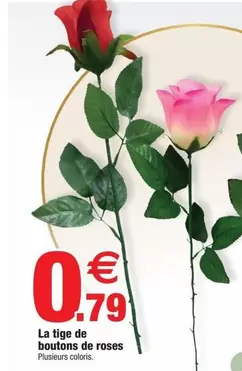 La Tige De Boutons De Roses offre à 0,79€ sur Bazarland