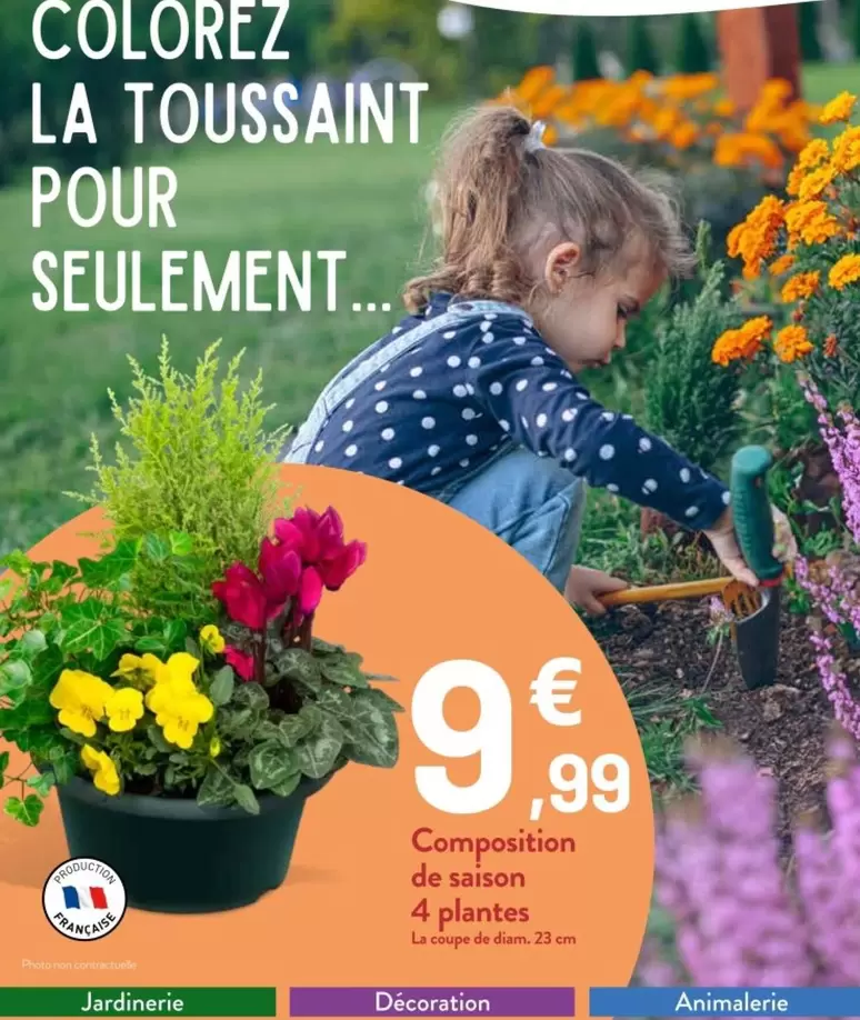 Composition De Saison 4 Plantes offre à 9,99€ sur VillaVerde