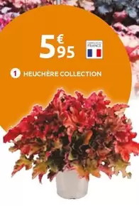 Heuchère Collection offre à 5,95€ sur Mr Bricolage