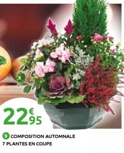 Composition Automnale 7 Plantes En Coupe offre à 22,95€ sur Mr Bricolage