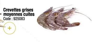 Crevettes Grises Moyennes Cuites offre sur Promocash