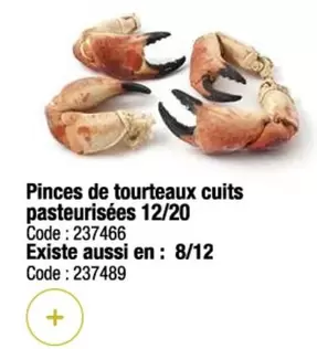 Pinces De Tourteaux Cuits Pasteurisées 12/20 offre sur Promocash