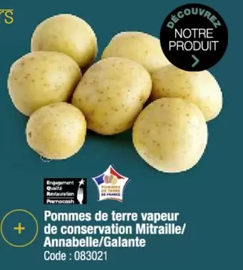 Pommes De Terre Vapeur De Conservation Mitraille/ Annabelle/galante offre sur Promocash