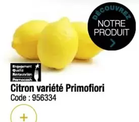 Primofiori - Citron Variété offre sur Promocash