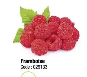 Framboise offre sur Promocash