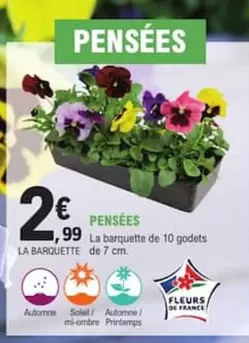 Pensées offre à 2,99€ sur E.Leclerc Jardi