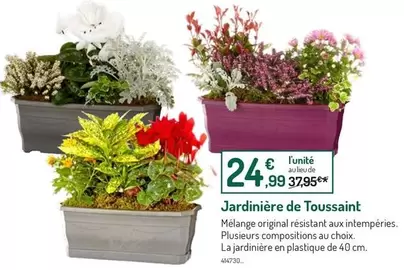 Jardinière De Toussaint offre à 24,99€ sur Botanic