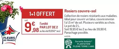 Rosiers Couvre-sol offre à 9,98€ sur Botanic