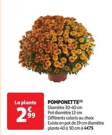 Pomponette offre à 2,99€ sur Auchan Supermarché