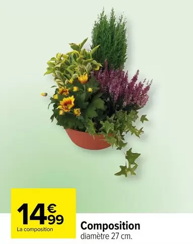 Composition offre à 14,99€ sur Carrefour