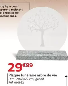 Plaque Funéraire Arbre De Vie offre à 29,99€ sur Gifi