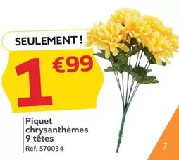 Piquet Chrysanthèmes 9 Têtes