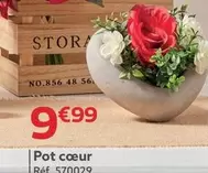 Pot Cœur