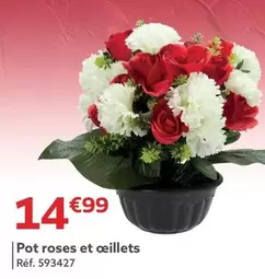 Pot Roses Et Ceillets