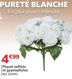 Piquet Ceillets Et Gypsophyles