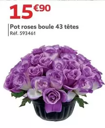 Pot Roses Boule 43 Têtes