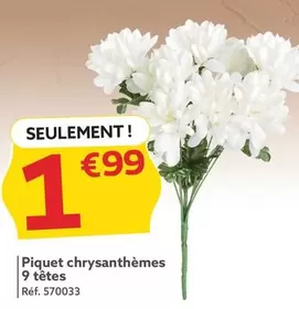 Piquet Chrysanthèmes 9 Têtes