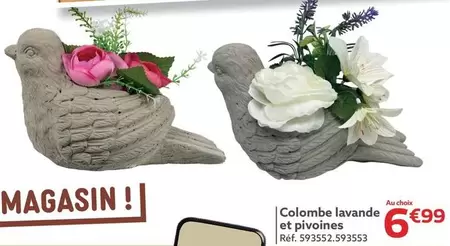 Colombe Lavande Et Piroines