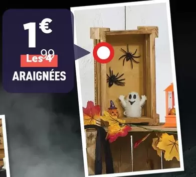 Araignées