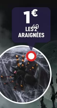 Araignées