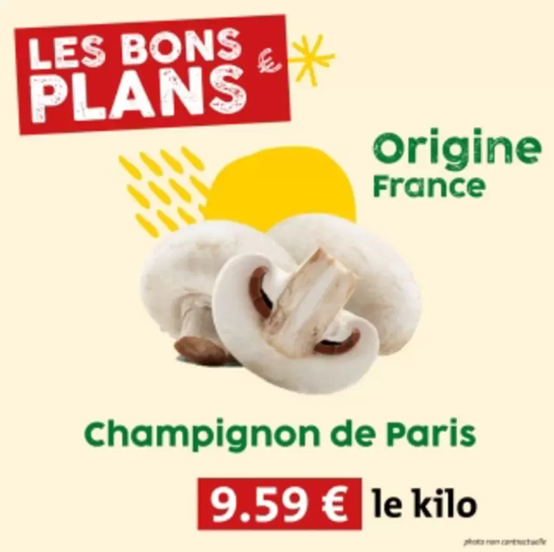 Champignon De Paris offre à 9,59€ sur So.bio