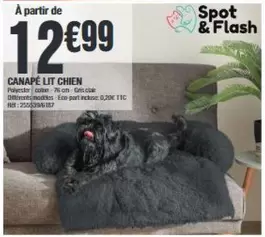 Flash - Canape Lit Chien