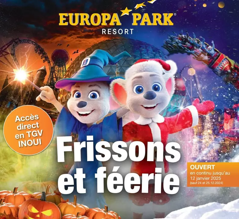 Europa Park Resort offre sur Carrefour City