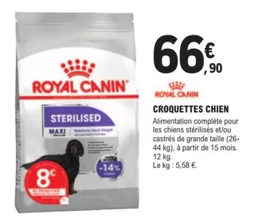 Royal Canin - Croquettes Chien offre à 66,9€ sur E.Leclerc Brico