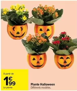 Plante Halloween