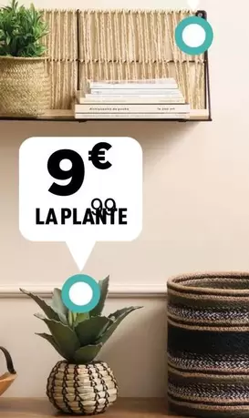 La Plante