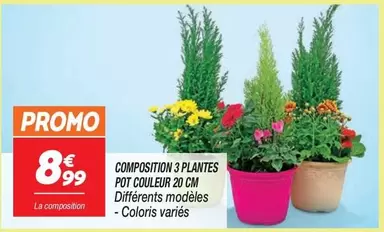 Promo - Composition 3 Plantes Pot Couleur 20 Cm