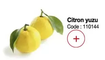 Citron Yuzu offre sur Promocash