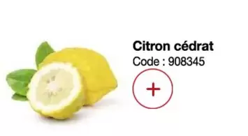 Citron Cédrat offre sur Promocash