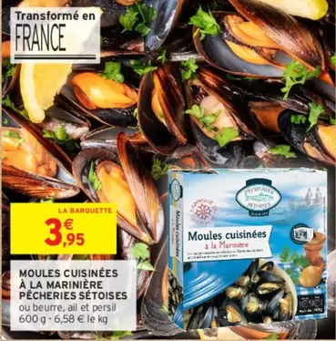 Persil - Moules Cuisinées À La Marinière