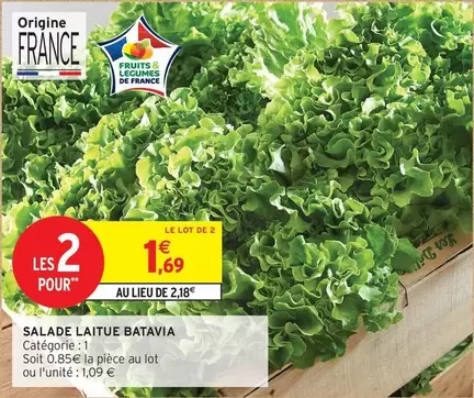 Salade Laitue Batavia