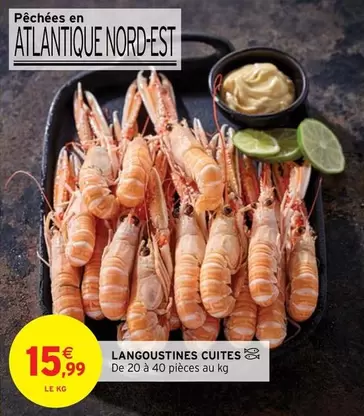 Langoustines Cuites