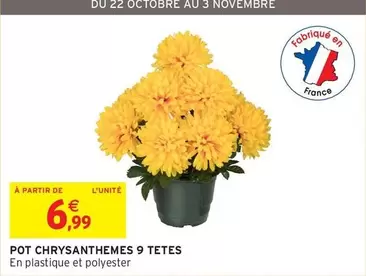 Pot Chrysanthemes 9 Tetes