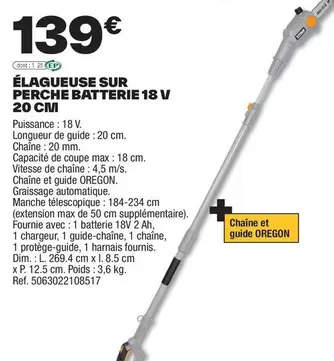 Dim - Élagueuse Sur Perche Batterie 18 V 20 Cm