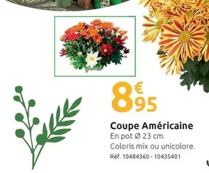 Coupe Américaine offre à 8,95€ sur Mr Bricolage