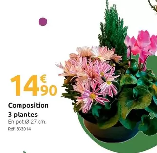 Composition 3 Plantes offre à 14,9€ sur Mr Bricolage