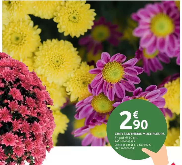 Chrysanthème Multifleurs  offre à 2,9€ sur Mr Bricolage