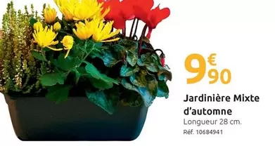 Jardinière Mixte D'Automne offre à 9,9€ sur Mr Bricolage