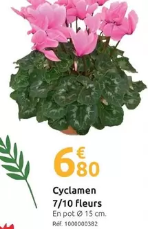 Cyclamen 7/10 Fleurs offre à 6,8€ sur Mr Bricolage