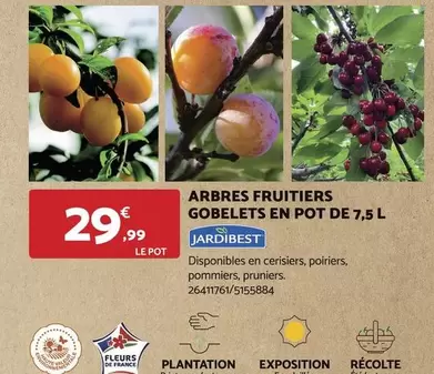 Jardibest - Arbres Fruitiers en Pot de 7.5 L | Offrez-vous des fruits frais à portée de main !