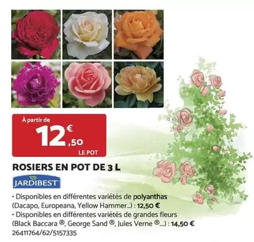 JardiBest - Rosiers En Pot De 3 L