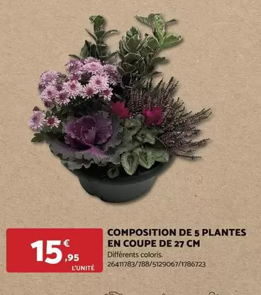 Composition De 5 Plantes En Coupe De 27 Cm