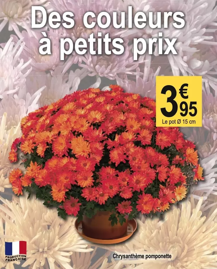 Des Couleurs À Petits Prix offre à 3,95€ sur Tridôme